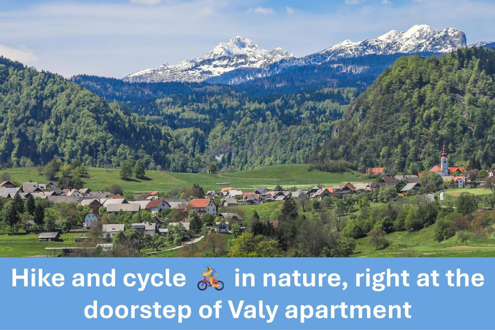 Apartment Valy - Free Bikes, Relaxing Terrace & Near Bled Bagian luar foto